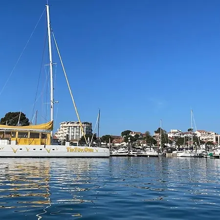 Bassin D'arcachon - Vip 5 Personnes Chalet
