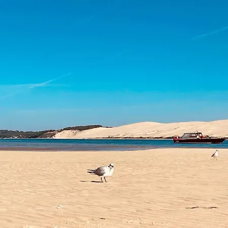 Bassin D'arcachon - Vip 5 Personnes Chalet