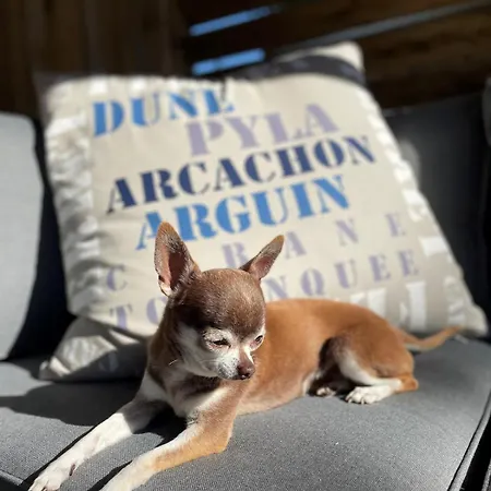 Chalet Bassin D'arcachon - Vip 5 Personnes *