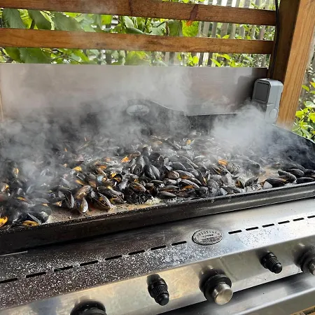 Chalet Bassin D'arcachon - Vip 5 Personnes La Teste-de-Buch